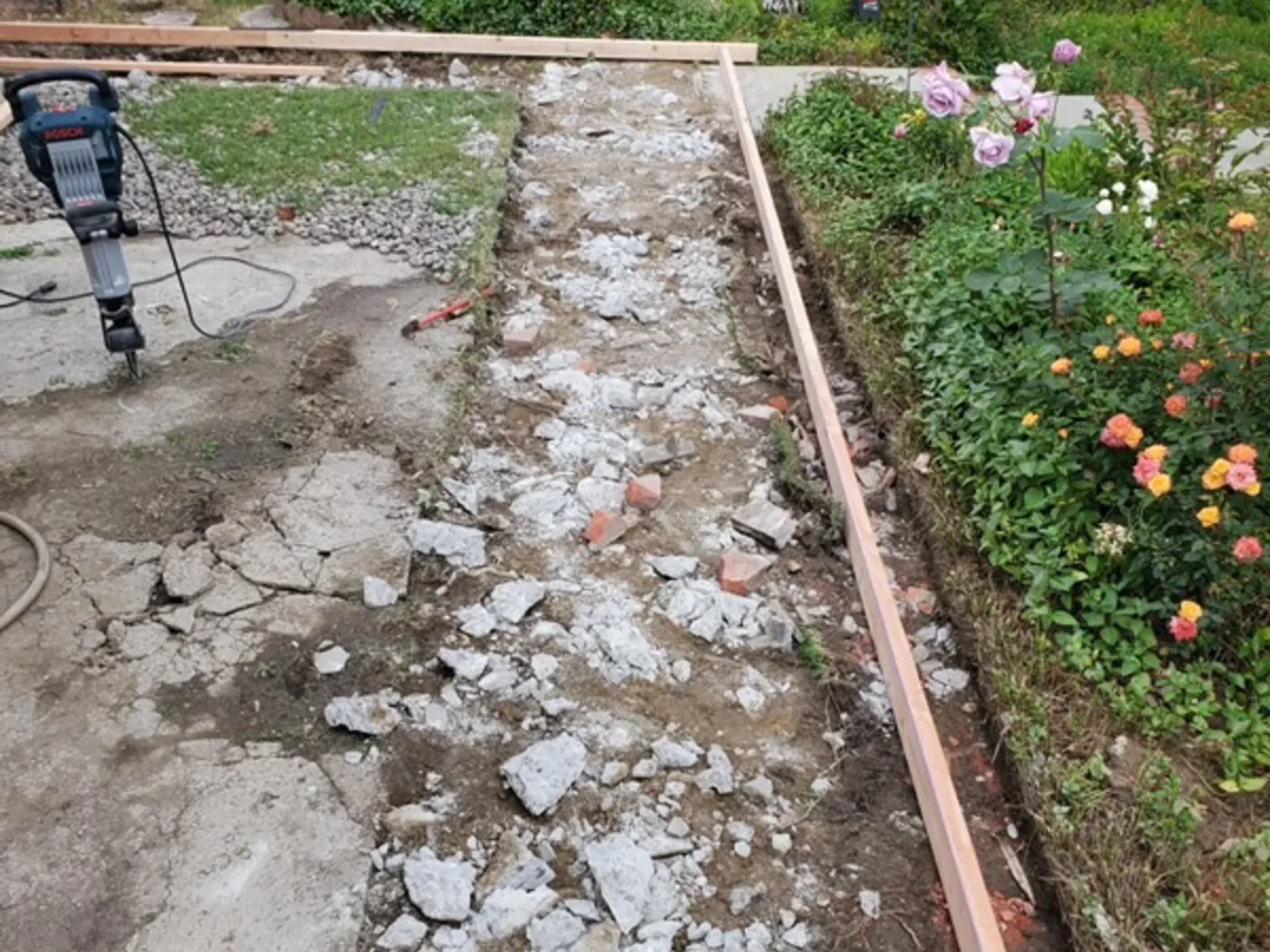 Before: Broken-up front walkway reduced to rubble and bare soil beside a rose bed