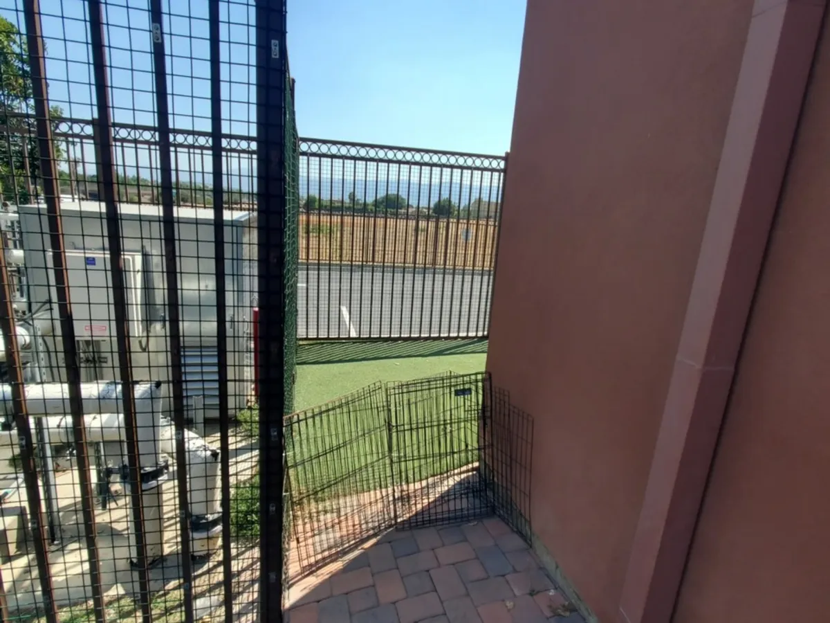 Wrought steel fencing